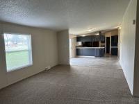 1996 skyline Mobile Home