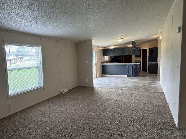 1996 skyline Mobile Home