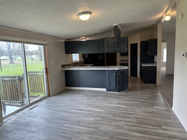 1996 skyline Mobile Home