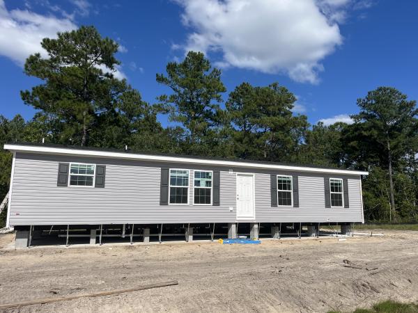 Photo 1 of 2 of home located at 101 Lady Fern Way Hampstead, NC 28443