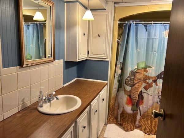 1976 Holly Park MI0027008203 Mobile Home