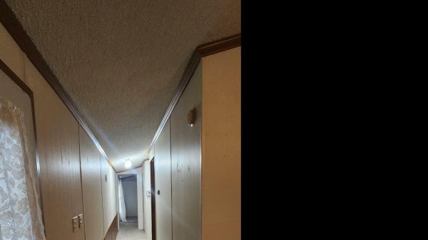 1992 skyline spriceridge Mobile Home