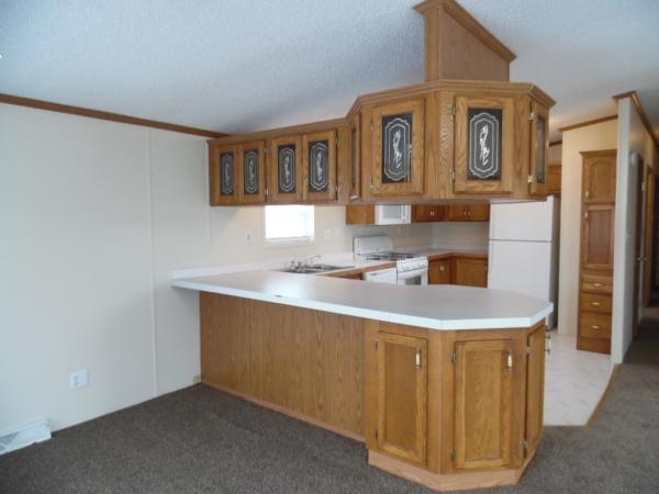 1997 Skyline UNK Mobile Home