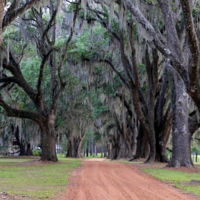 Mobile Home at 122 Hidden Pine Lane Thomasville, GA 31792