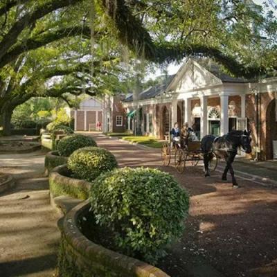 Photo 5 of 21 of home located at 150 Braleigh Lane Thomasville, GA 31792