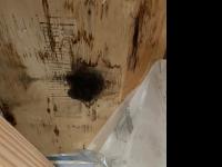 1975 Unknown Manufactured Home