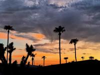 1979 Skyline Buddy Manufactured Home