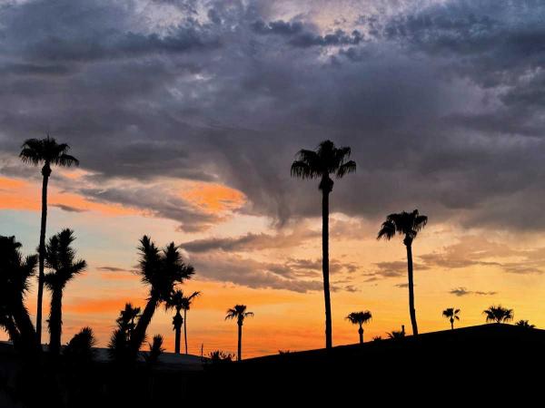 1979 Skyline Buddy Manufactured Home