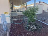 1981 NEW MOON Mobile Home