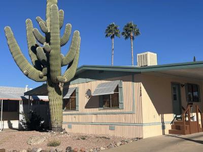 Mobile Home at 2121 S Pantano Rd #175 Tucson, AZ 85710