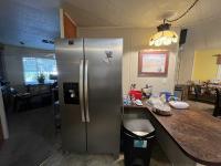 1977 Skyline Manufactured Home