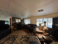 1977 Skyline Manufactured Home