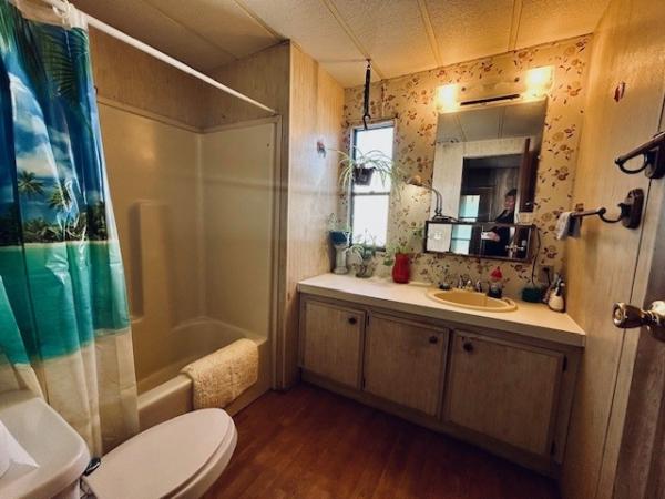 1978 Flamingo Manufactured Home