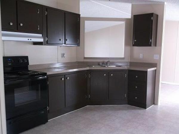 1996 Skyline Mobile Home For Sale