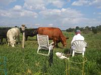 Marshfield Mobile Home