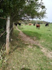 Marshfield Mobile Home