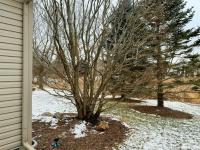 2004 Hi Tech Sunflower Manufactured Home