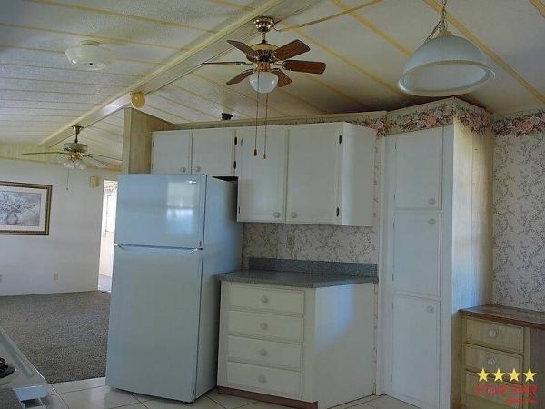 1983 PALM   Home