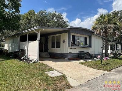 Mobile Home at 2464 Hempstead Lane Orange City, FL 32763