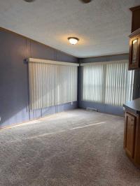 1997 Skyline Manufactured Home