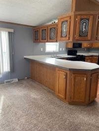 1997 Skyline Manufactured Home