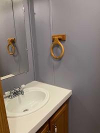 1997 Skyline Manufactured Home