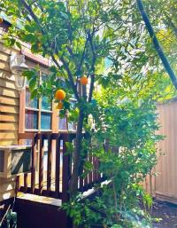 1973 Wildwood Mobile Home