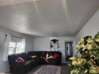 1972 HOME Mobile Home