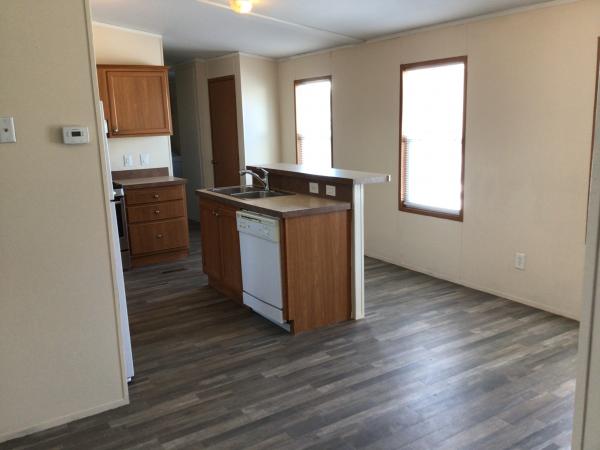 2006 Skyline Mobile Home