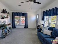 1991 PALM   Home