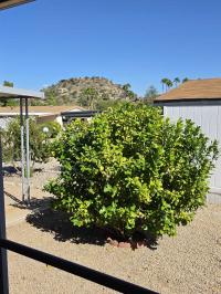 1986 PALM HARBOR Manufactured Home