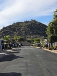 1986 Palm Harbor Manufactured Home