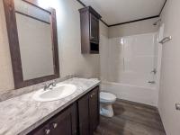 2023 Skyline Sugarcreek Express Premier  Home