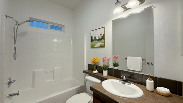 2014 Skyline Amber Code   Home