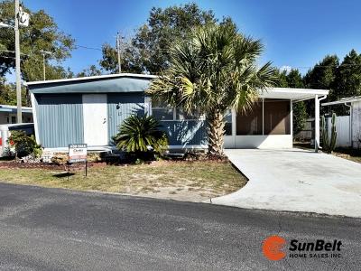 Photo 2 of 17 of home located at 13 Rose Drive Mount Dora, FL 32757