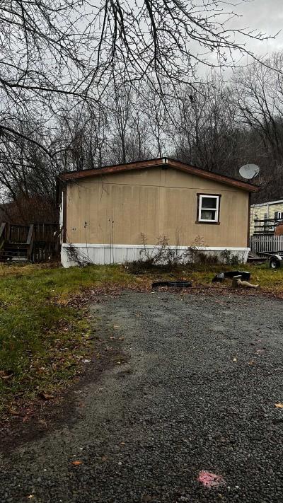 Mobile Home at 434 Route 369 Port Crane, NY 13833