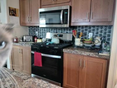 Photo 4 of 12 of home located at 1213 96th Ave Blaine, MN 55434