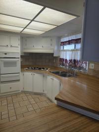 1976 Madison Mobile Home