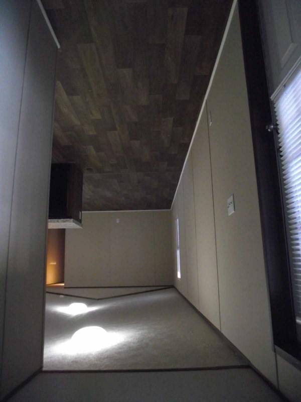 2023 Tru Elation Mobile Home