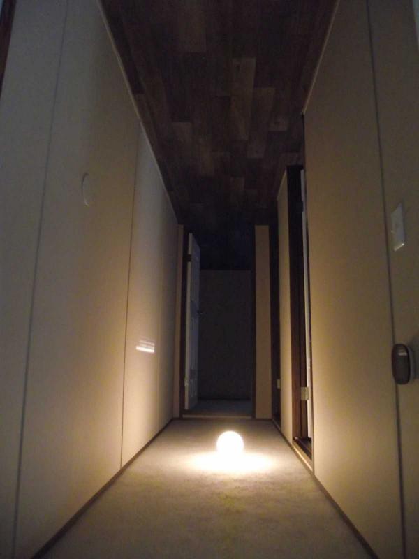 2023 Tru Elation Mobile Home