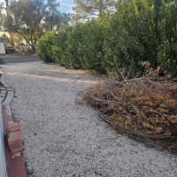 1982 Silver Crest  Mobile Home