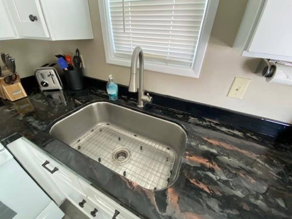 1990 Skyline Manufactured Home