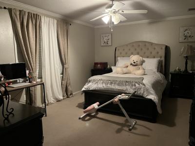 Photo 4 of 9 of home located at 305 Shadow Ridge Drive Davenport, FL 33897