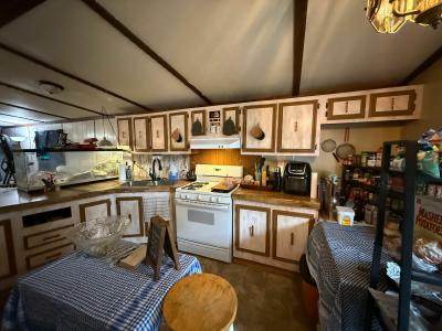 Mobile Home at 435 Rustic Lane South Belleville, MI 48111