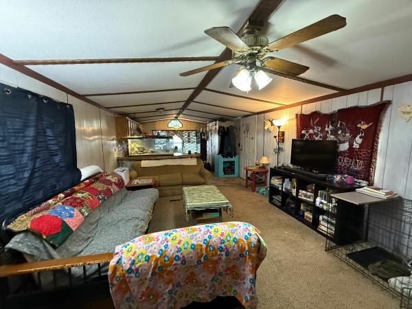 1985 VIST Mobile Home