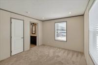 2026 CLAYTON THE PULSE 5624-5744  Home