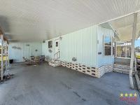 1982 PALM   Home