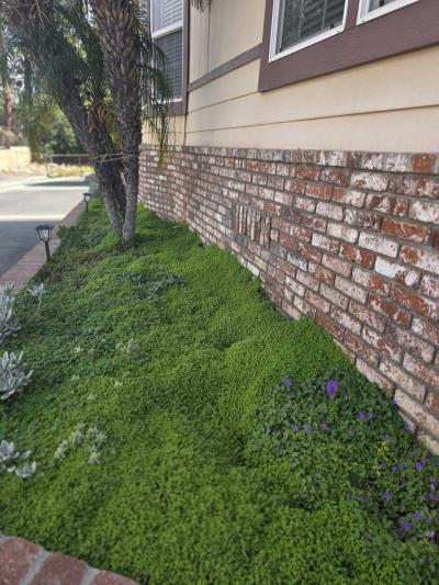 Photo 2 of 30 of home located at 6880 Archibald  Ave #114 Alta Loma, CA 91701