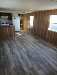 1970 Detroiter Mobile Home