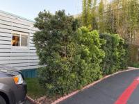 1960 Greatlake Mobile Home